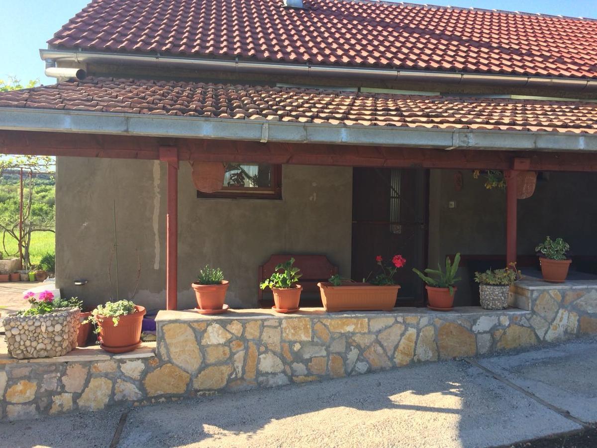 דירות סקארדין Apartman Rosa מראה חיצוני תמונה