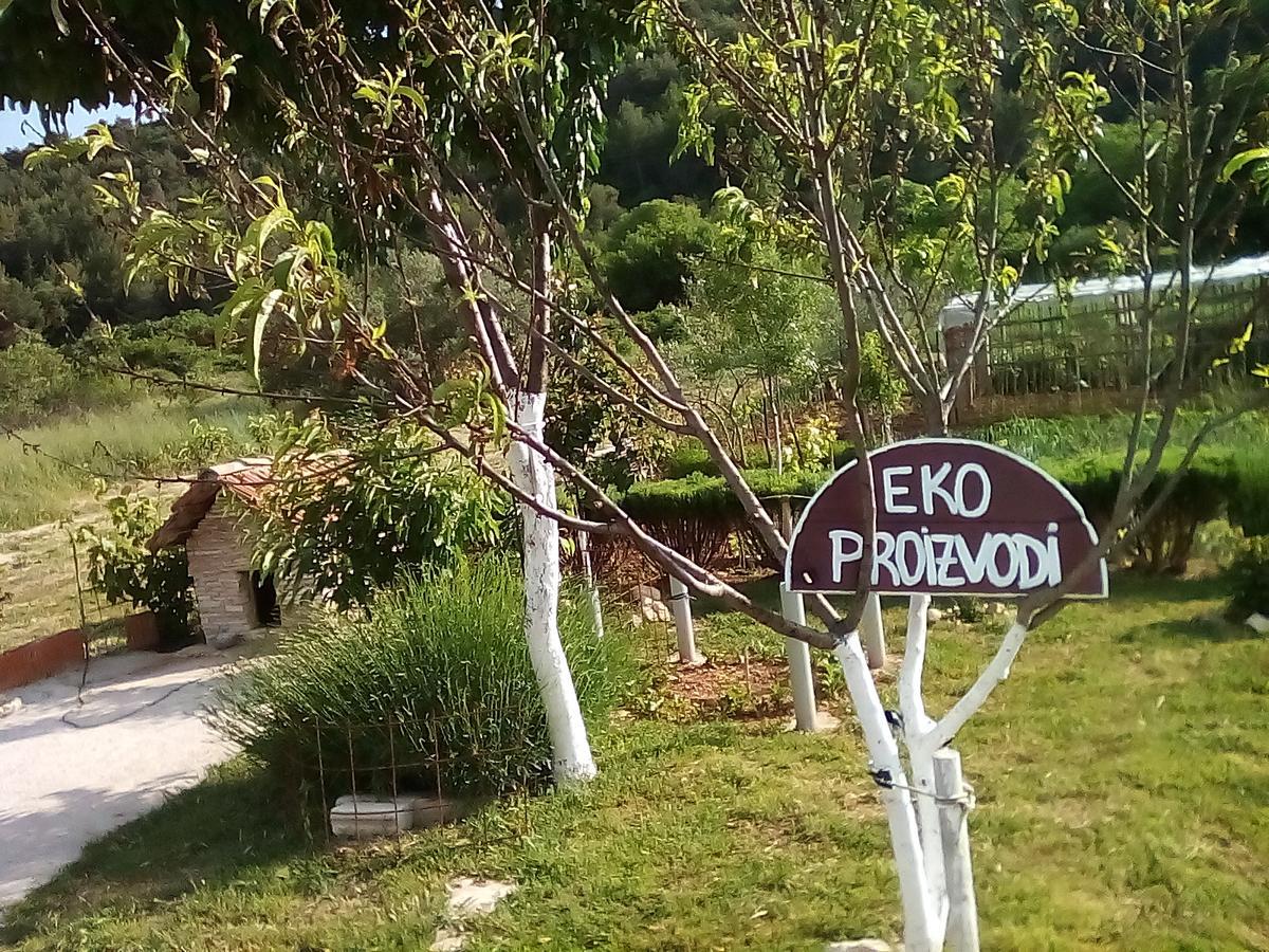 דירות סקארדין Apartman Rosa מראה חיצוני תמונה
