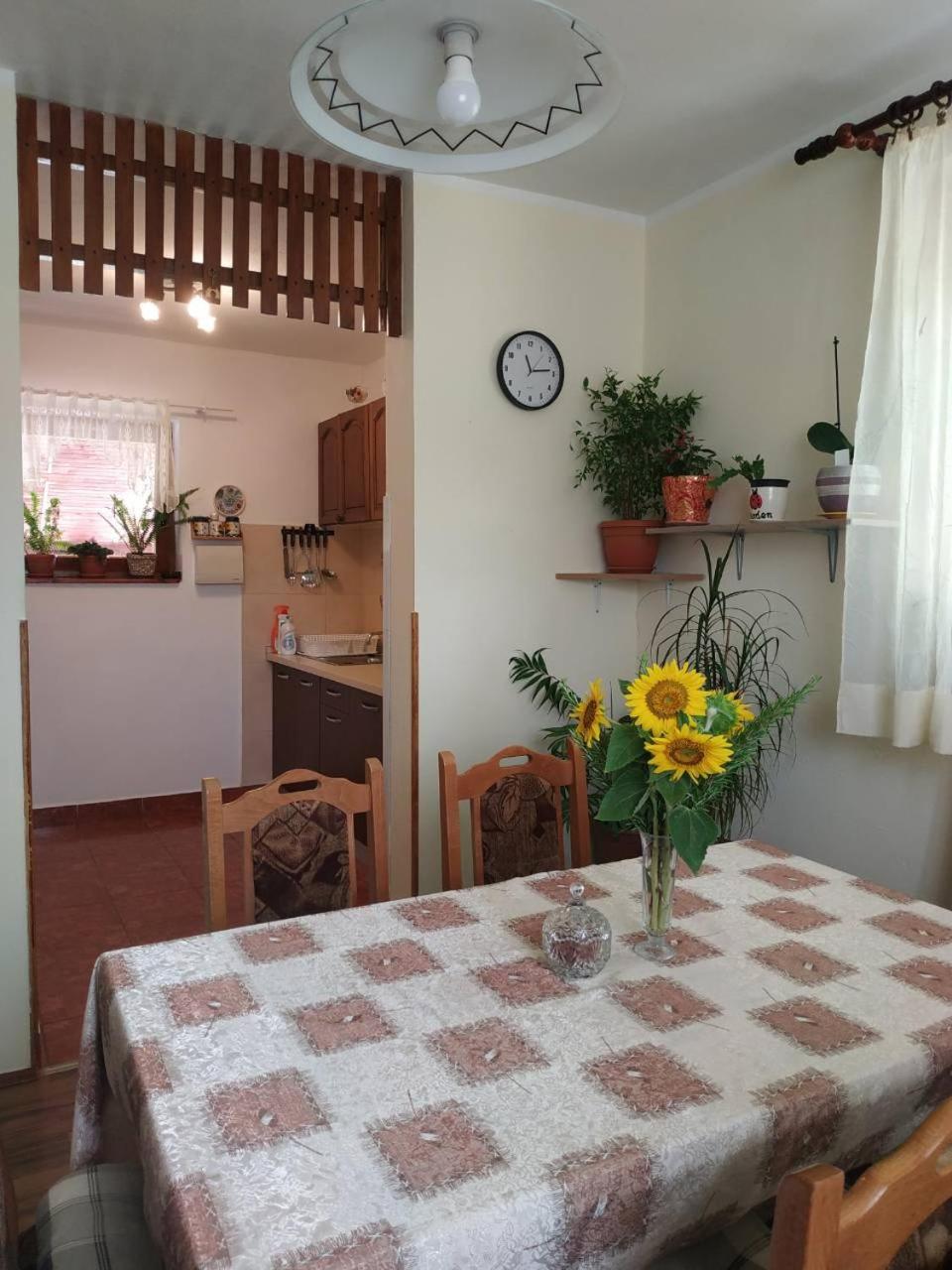 דירות סקארדין Apartman Rosa מראה חיצוני תמונה